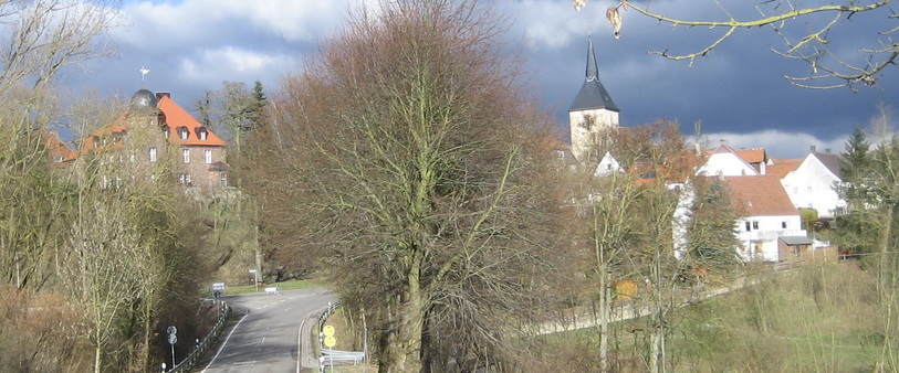 Panoramaansicht Borgholz von Natzungen